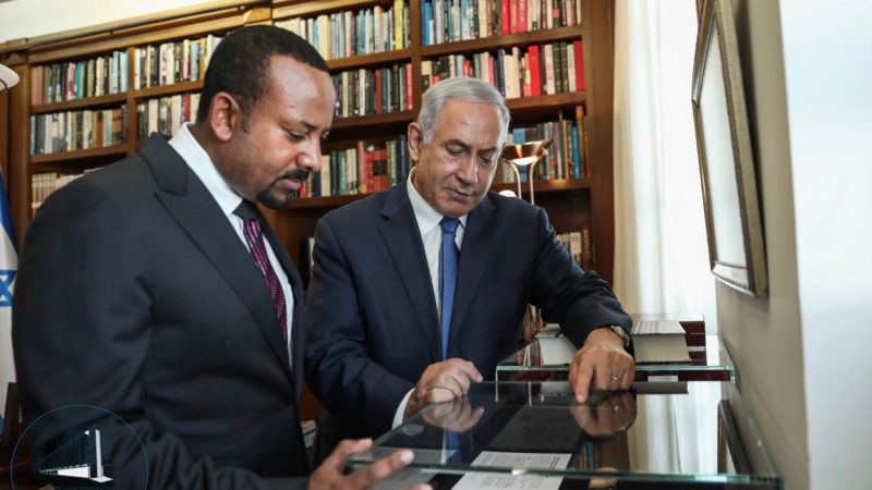 عدلي أحمد يكتب : تعاون إسرائيل وإثيوبيا
