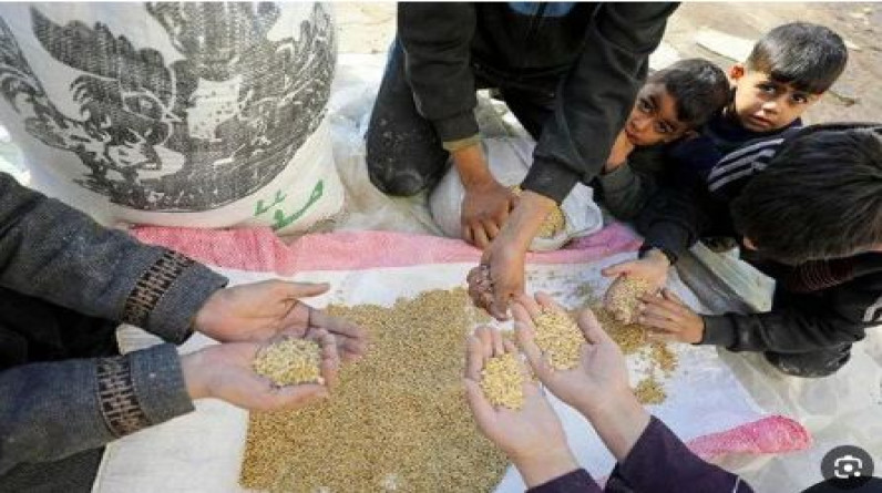 الأونروا:لايوجد مايكفي من علف الحيوانات ليأكله الناس في شمال غزة