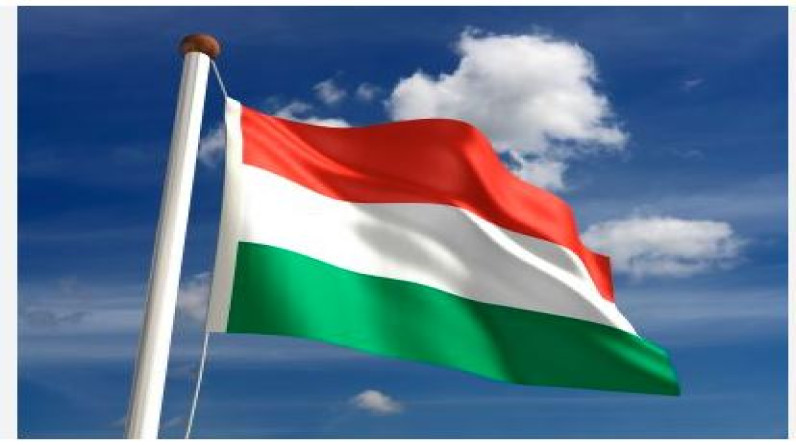 ما سبب نشر المجر قواتها في تشاد؟