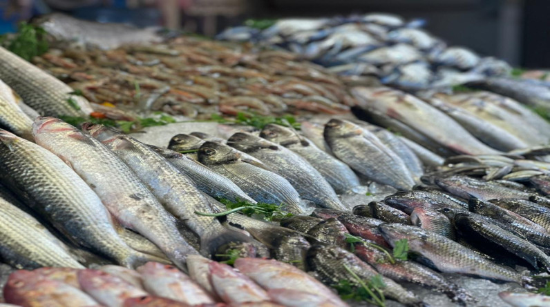 مقاطعة الدواجن والأسماك في مصر  وتأثرها في الشارع