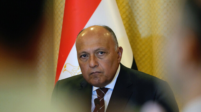 وزير الخارجية المصري يزور سوريا وتركيا