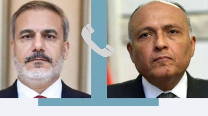 وزير الخارجية المصري يهنئ نظيره التركي على تولى مهام منصبه