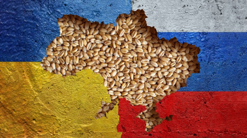 انسحاب “موسكو”: أبعاد تعليق روسيا المشاركة في اتفاقية تصدير الحبوب