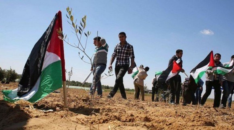 د. غسان الشامي يكتب: الأرض والأقصى ثوابت شامخة تتحدى الاحتلال الصهيوني