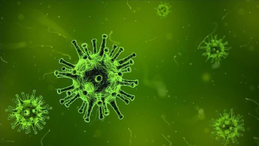تصاعد نسبة إحتمالية تسرب فيروس كورونا من المختبر