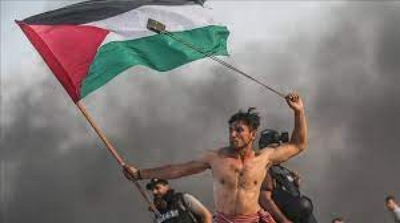 ميدل إيست آي: المقاومة المسلحة في فلسطين لن تنتهي أبدا