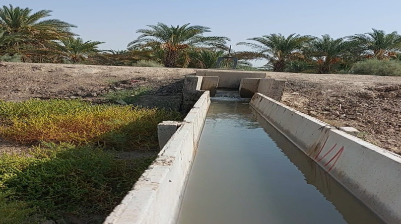 العراق: الموارد المائية تنجز استصلاح 3 آلاف دونم بمحافظة المثنى