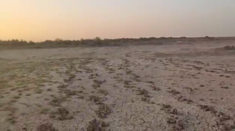 رجل من وسط العراق يتحدث عن مأساة جفاف الأهوار (فيديو)