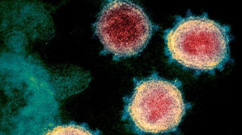 مترجم: 6 اكتشافات جديدة قد تغير ما نعرفه عن الفيروسات