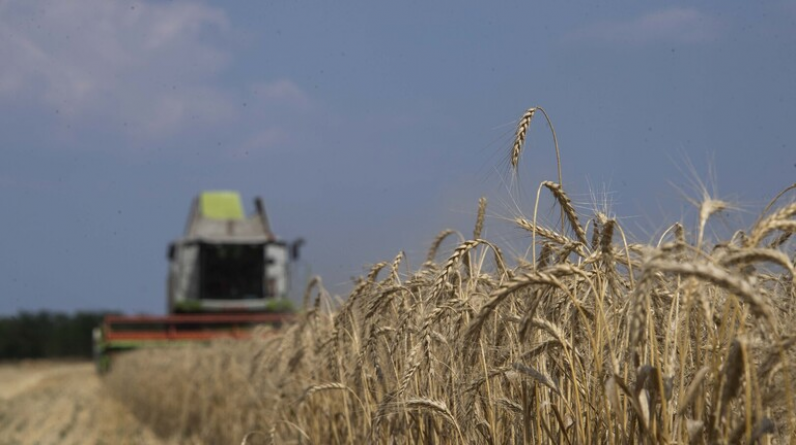 مسؤول: محاصيل الحبوب في الأراضي المحررة بأوكرانيا قد تتجاوز مليوني طن