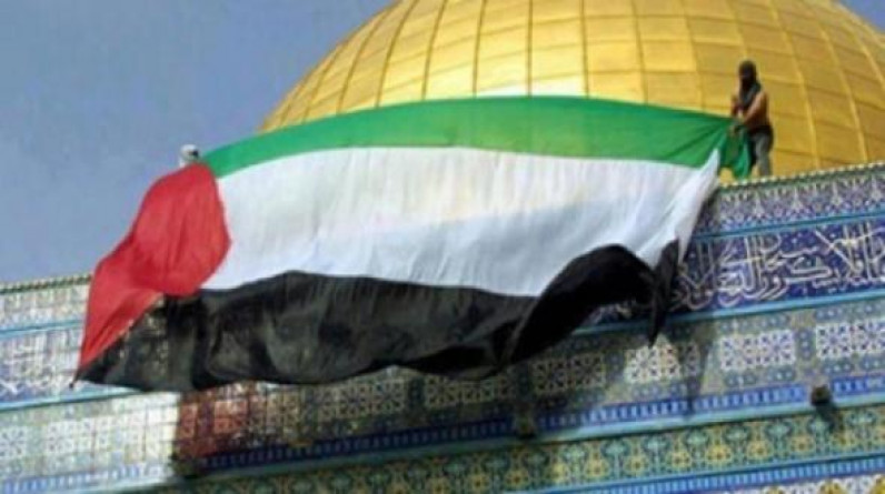 استطلاع لـ "أمنيستي": غالبية اليهود يخافون العلم الفلسطيني