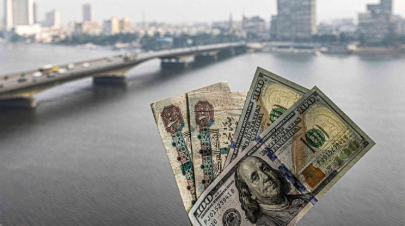 محمد عايش يكتب: أزمة الدولار في مصر