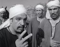 سيد صابر يكتب : منمنمات مصرية