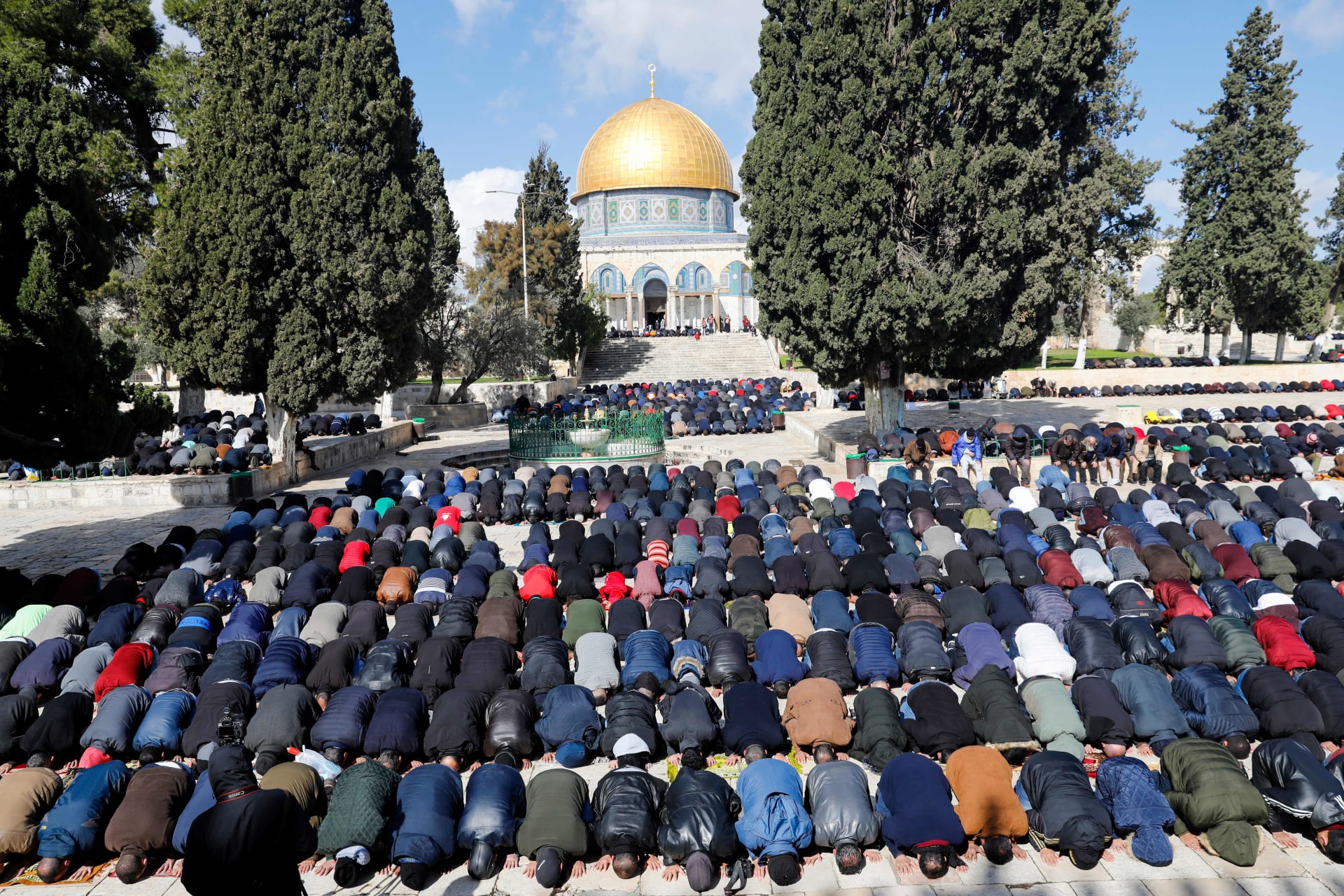 محمد سيف الدولة يكتب : بين الرواية الفلسطينية والرواية  الاسرائيلية