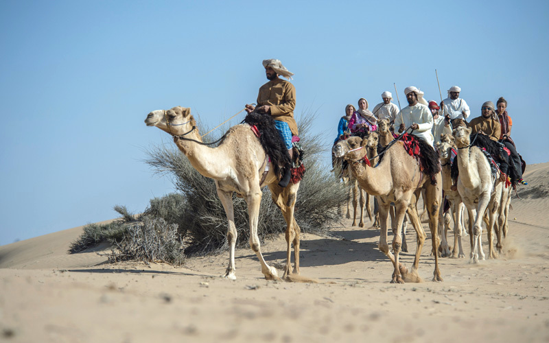 شوقي عقل : قبائل الإمارات