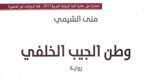 أحمد رجب شلتوت يكتب: انقسام الهوية في  "وطن الجيب الخلفي"