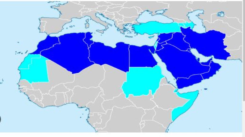 «هاآرتس»  العبرية بعض الحكام العرب لا يرغبون في إزالة حماس من قطاع غزة