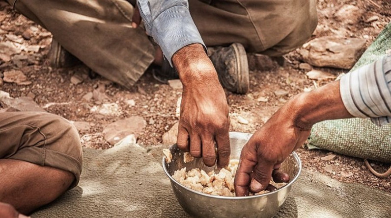 الجوع يهددنا.. كيف سنوفِّر الغذاء لأنفسنا في المستقبل؟